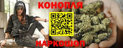 гидропоника Кунгур