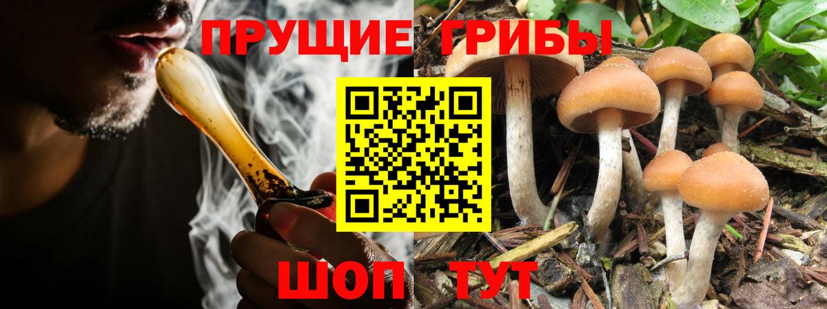 Псилоцибиновые грибы MAGIC MUSHROOMS Каспийск
