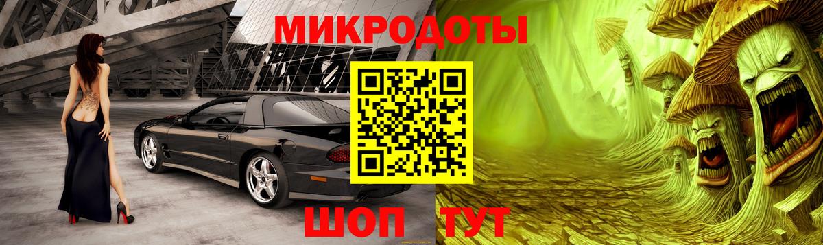 Псилоцибиновые грибы ЛСД  Вход с VPN  купить наркотики сайты  Каспийск  Галлюциногенные грибы Psilocybe 